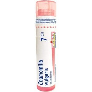 CHAMOMILLA-VULGARIS-7-CH CHAMOMILLA-VULGARIS-7-CH